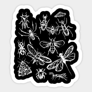 Insect Bugs Collage Vintage Witchy Hand Drawn Sticker